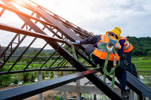 Best Residential Roofing Contractor  in St Bonifacius, MN