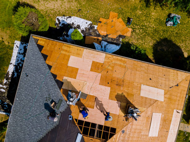Professional Roofing Contractor in St Bonifacius, MN